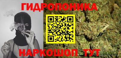 ПСИЛОЦИБИНОВЫЕ ГРИБЫ Сланцы
