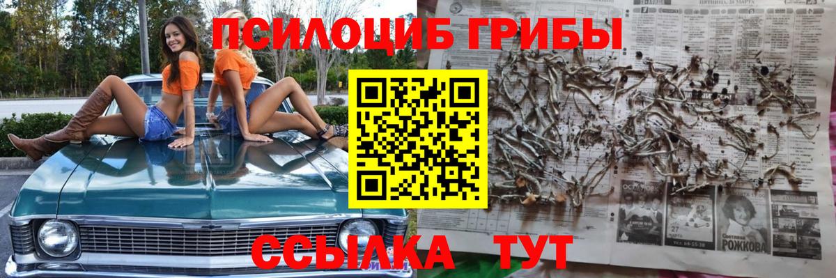 Новочеркасск  Галлюциногенные грибы мицелий  Вход с VPN  как найти закладки  Псилоцибиновые грибы Psilocybe 