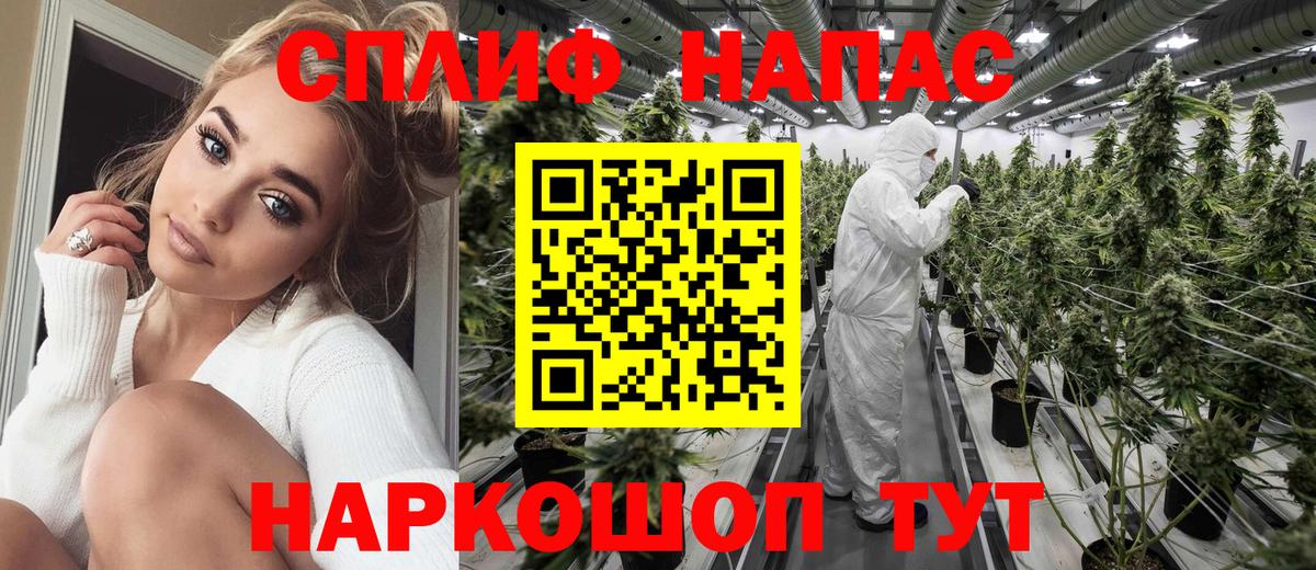 Марихуана сатива Новочеркасск